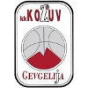 https://img.cywhlp.com/img/basketball/team/4b06fe02aaa7da5901e5698485059da0.png